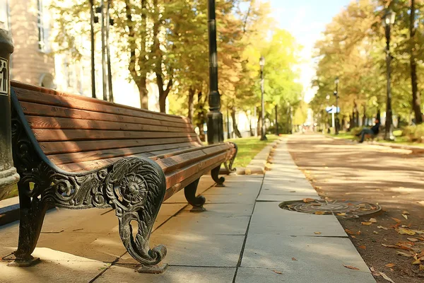 Path Autumn Park Autumn Landscape Yellow Park Autumn Trees Leaves — Stock Photo, Image