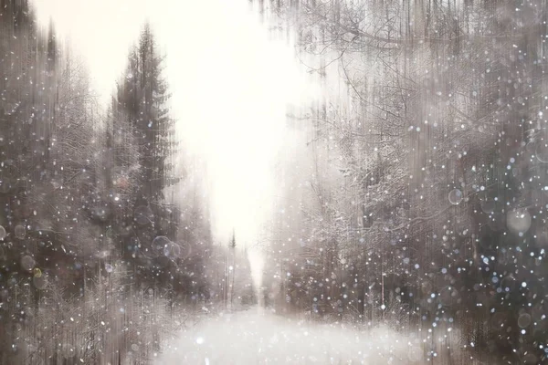 Bos Sneeuw Wazig Achtergrond Winterlandschap Met Sneeuw Bedekt Bos Bomen — Stockfoto