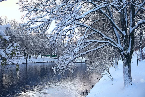 Winterpark Stadtbild Bei Winterwetter Schnee Der Landschaft Stadt Bäume Stadtpark — Stockfoto