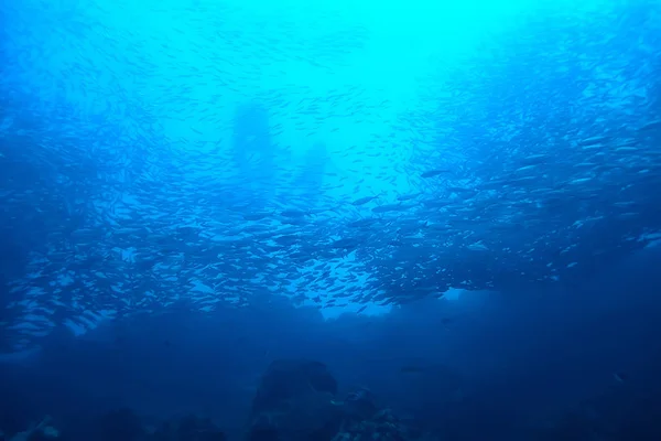 Κάτω Από Τον Θαλάσσιο Ωκεανό Τοπίο Υποβρύχιος Κόσμος Σκηνή Μπλε — Φωτογραφία Αρχείου