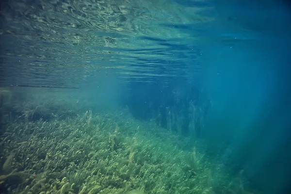 See Unterwasserlandschaft Abstrakt Blaues Transparentes Wasser Öko Naturschutz Unter Wasser — Stockfoto