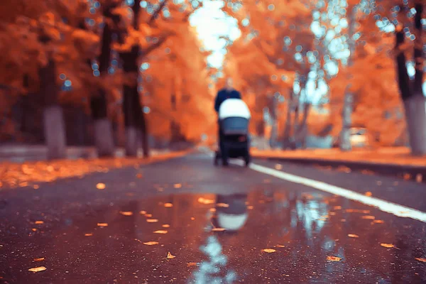 Weg Herbstpark Herbstlandschaft Gelber Park Herbstbäumen Und Blättern Ein Schöner — Stockfoto