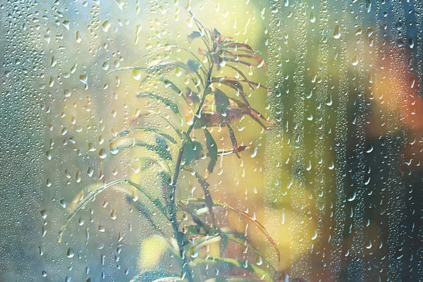 Spring Day Park View Spring Landscape Park Window Raindrops Glass — Stock Photo, Image