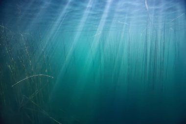 arka plan doğa güneş mavi mavi deniz sualtı su deniz ışınları