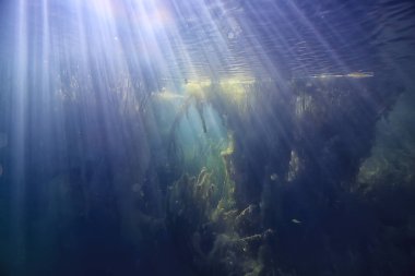 Doğa Göl manzara mavi çevre su sualtı şeffaf