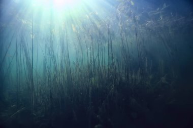 Doğa Göl manzara mavi çevre su sualtı şeffaf