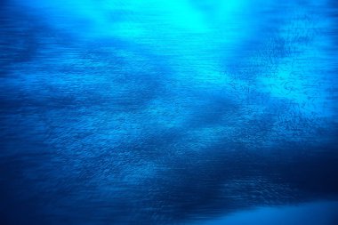 su altında denizde küçük balık çok/balık kolonisi, balıkçılık, okyanus yaban hayatı sahnesi