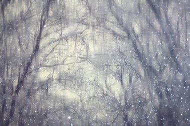 Orman kar bulanık arka plan/kış manzara kar kaplı orman, ağaçlar ve dalları kış havalarda