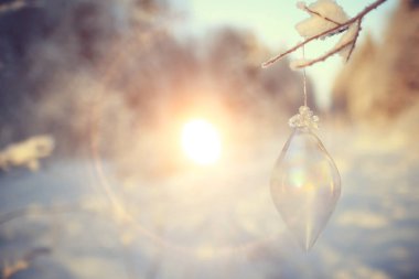 Kış ormanında günbatımı/Park, kar ormanı ve güneş, kış dinlenme Şubat günbatımı