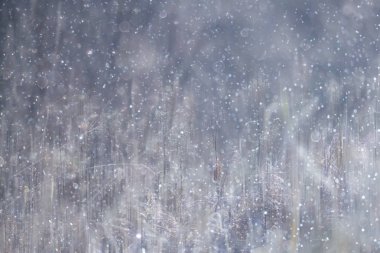 Orman kar bulanık arka plan/kış manzara kar kaplı orman, ağaçlar ve dalları kış havalarda