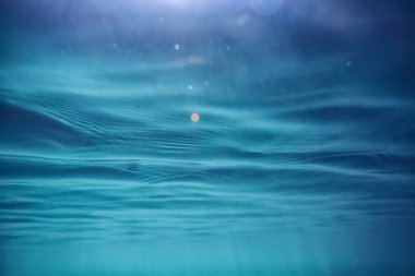 arka plan dalış doğa ekosistem Eko su sualtı taze