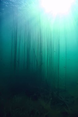 Doğa Göl manzara mavi çevre su sualtı şeffaf