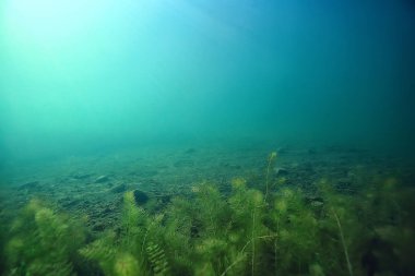 ekoloji ekolojik felaket manzara nehir sualtı