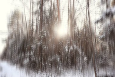 arka plan bulanık dikey kış kışın orman soyut orman