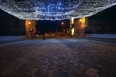 gece şehir kış/manzara Ocak şehir ışıkları tatil için dekore edilmiş, bir şehir parkında ağaçlar, kış manzara