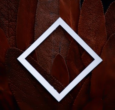 kahverengi renkli yaprakları çerçeve/soyut, sıradışı renkli Vintage yaprakları