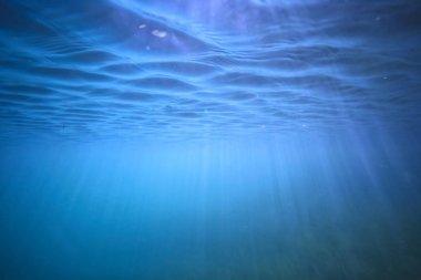 arka plan doğa güneş mavi mavi deniz sualtı su deniz ışınları
