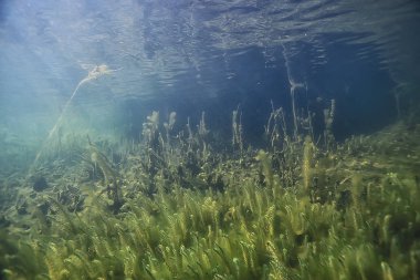 Doğa Göl manzara mavi çevre su sualtı şeffaf