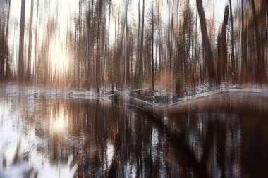 arka plan bulanık dikey kış kışın orman soyut orman