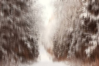 arka plan bulanık dikey kış kışın orman soyut orman