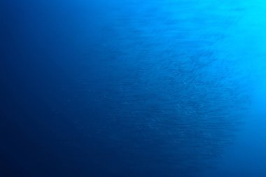 deniz ekosistemi sualtı görünümü/denizdeki mavi okyanus vahşi doğa, soyut arka plan