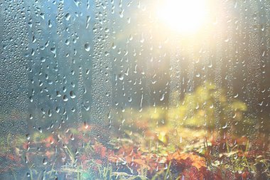 arka plan ıslak cam sonbahar parkta sonbahar Parkı içinde manzara/görünüm ıslak bir pencere, bir sonbahar gününde yağmurlu hava kavramı damla