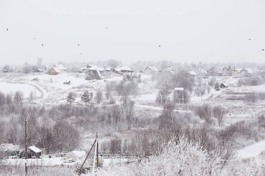 Rus köyünde kış/kış manzarası, Rusya 'da orman, eyalette karla kaplı ağaçlar