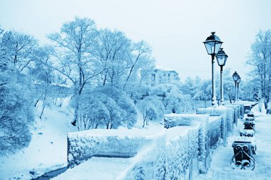 Kış Parkı, kış havalarda Cityscape/manzara kar, şehir, kuzeyde bir şehir parkında ağaçlar