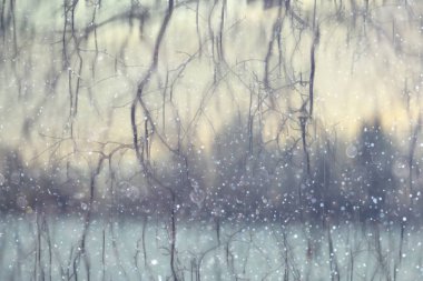 Orman kar bulanık arka plan/kış manzara kar kaplı orman, ağaçlar ve dalları kış havalarda