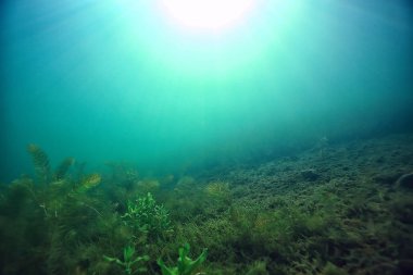 Doğa Göl manzara mavi çevre su sualtı şeffaf