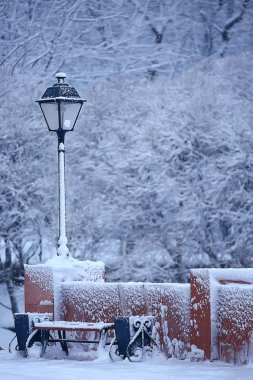Kış Parkı, kış havalarda Cityscape/manzara kar, şehir, kuzeyde bir şehir parkında ağaçlar