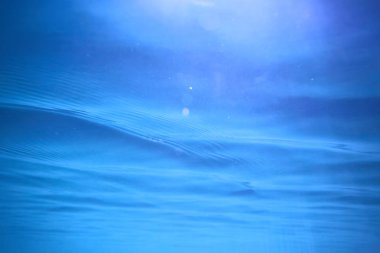 arka plan dalış doğa ekosistem Eko su sualtı taze