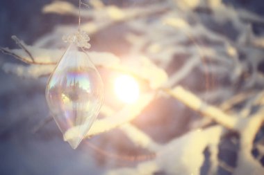 Kış ormanında günbatımı/Park, kar ormanı ve güneş, kış dinlenme Şubat günbatımı