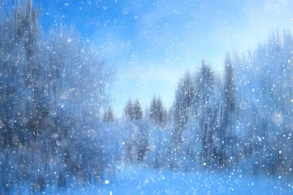 Forest Snow Blurred Background Winter Landscape Snow Covered Forest Trees — Stock Photo, Image