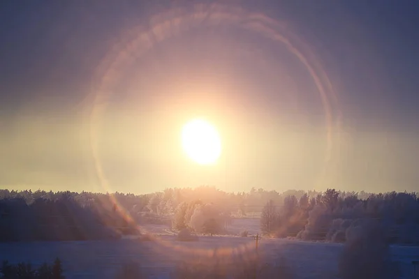 Zonsondergang Winter Bos Februari Zonsondergang Het Park Sneeuw Bos Zon — Stockfoto