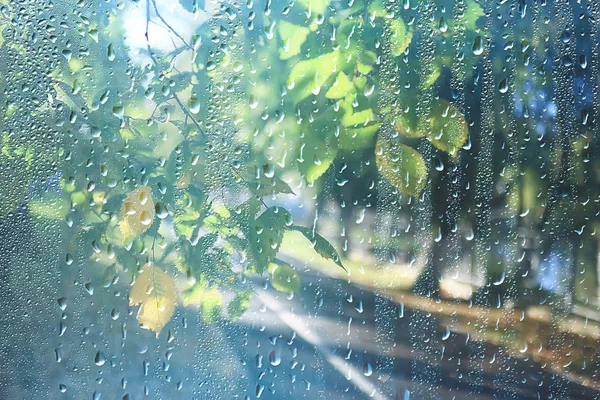 Spring Day Park View Spring Landscape Park Window Raindrops Glass — Stock Photo, Image