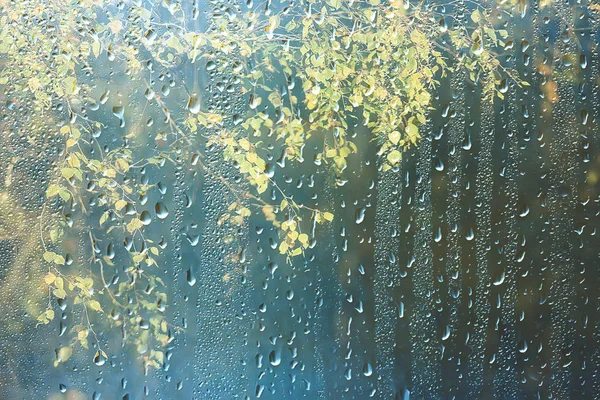 Spring Day Park View Spring Landscape Park Window Raindrops Glass — Stock Photo, Image