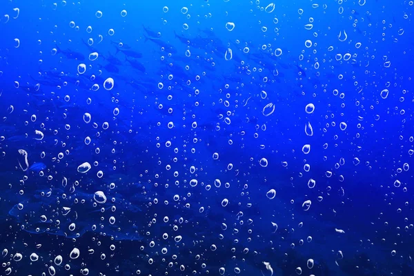 Bakgrund Undervattens Luft Bubblor Rev Abstrakt Havet Bakgrund Dykning Natur — Stockfoto