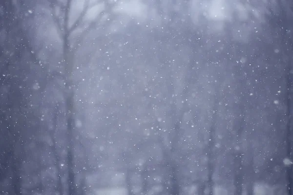 Zimowy Krajobraz Lesie Śnieżna Pogoda Styczniu Piękny Krajobraz Ośnieżonych Lasach — Zdjęcie stockowe