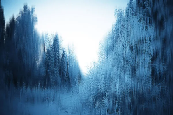 Abstract Forest Blurred Winter Vertical Lines Winter Forest Background Abstract — Stock Photo, Image