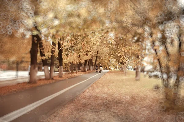 Astratto Sfondo Sfocato Parco Autunnale Bellissimo Paesaggio Con Punti Salienti — Foto Stock