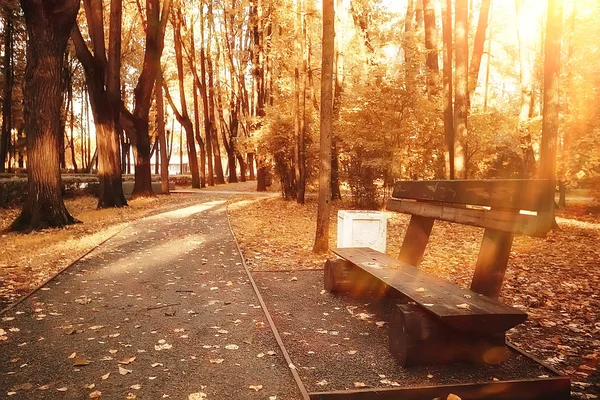 Paisagem Banco Parque Outono Banco Bonito Jardim Conceito Descanso Ninguém — Fotografia de Stock