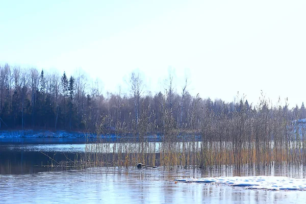 Winterlandschap Het Bos Sneeuwweer Januari Prachtig Landschap Het Besneeuwde Bos — Stockfoto