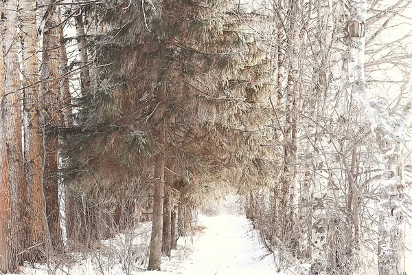 Abstrakte Hintergrund Landschaft Winter Wald Frostbedeckten Ästen Schnee Wetter Weihnachten — Stockfoto