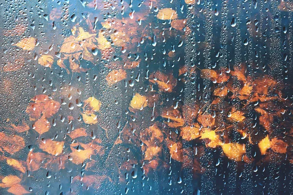 Φόντο Υγρό Γυαλί Σταγόνες Φθινόπωρο Στο Πάρκο Θέα Του Τοπίου — Φωτογραφία Αρχείου