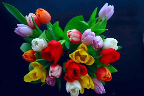 Strauß Bunter Tulpen Frühlingsblumen Leuchtend Schöne Blumen Frühlingsgeschenk Konzept — Stockfoto