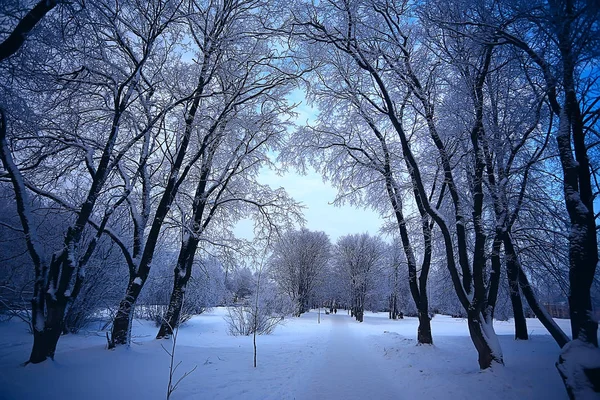 抽象的な背景の風景冬の森 覆われた木の枝 雪の天気のクリスマスの背景 — ストック写真