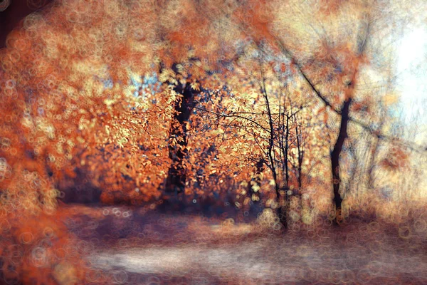 Abstract Blurred Background Autumn Park Beautiful Landscape Highlights Bokeh Sunny — Stock Photo, Image