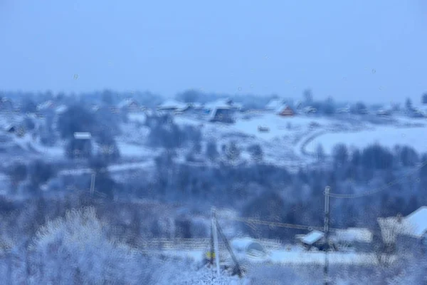 Abstrakt Skog Suddig Vinter Vertikala Linjer Vinter Skog Bakgrund Abstrakt — Stockfoto