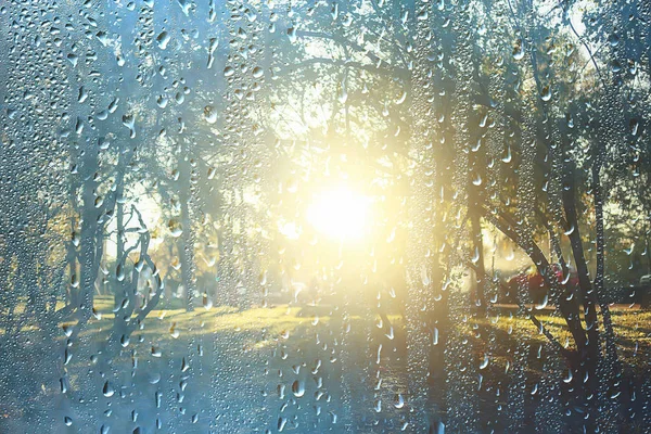 Hintergrund Nasses Glas Tropfen Herbst Park Blick Auf Die Landschaft — Stockfoto